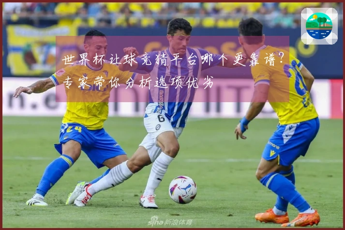 世界杯让球竞猜平台哪个更靠谱？专家带你分析选项优劣