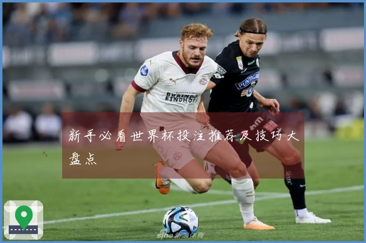 新手必看世界杯投注推荐及技巧大盘点