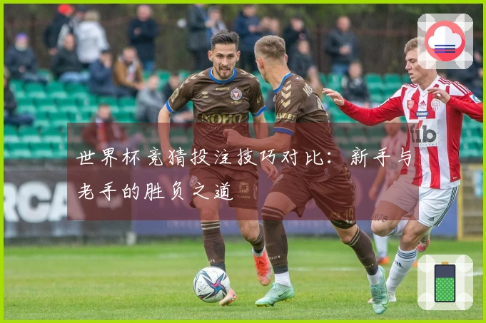 世界杯竞猜投注技巧对比：新手与老手的胜负之道