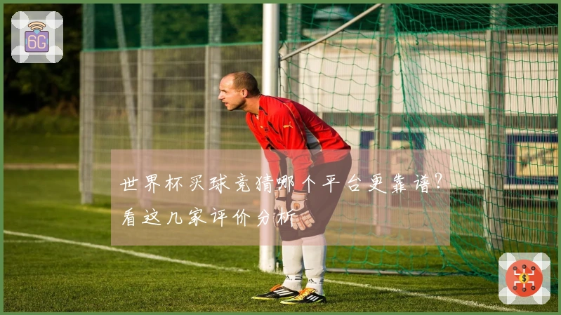 世界杯买球竞猜哪个平台更靠谱？看这几家评价分析
