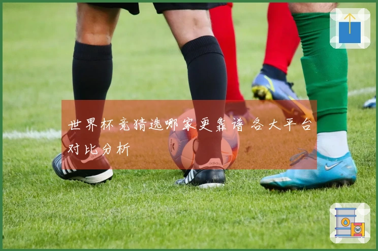 世界杯竞猜选哪家更靠谱 各大平台对比分析