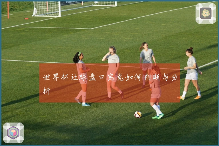 世界杯让球盘口究竟如何判断与分析