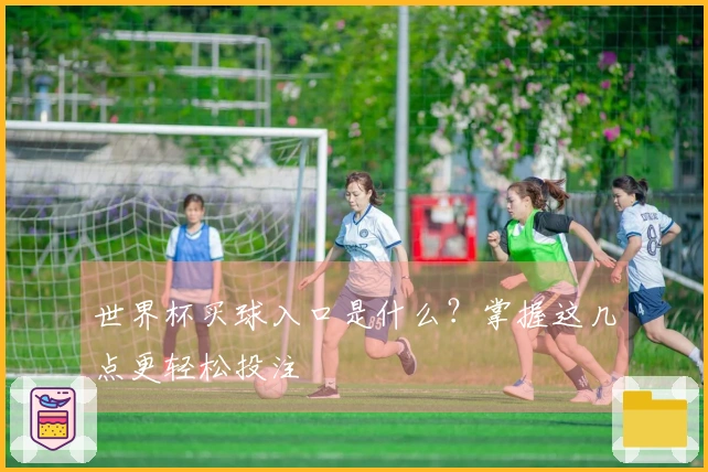世界杯买球入口是什么？掌握这几点更轻松投注